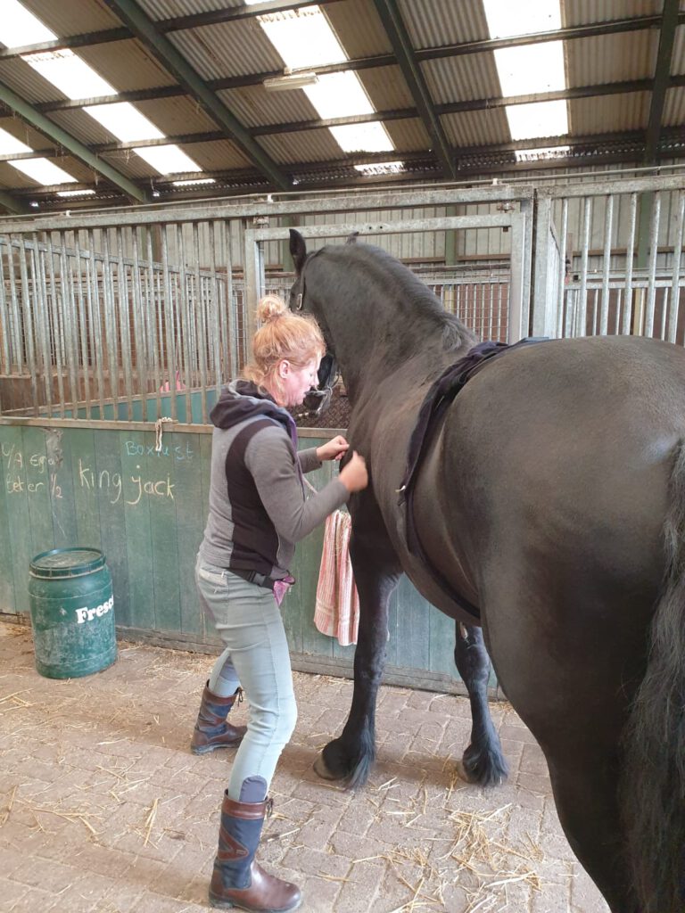 Massage van een paard